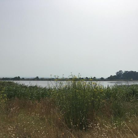 Moradia Proxima Da Praia Do Areinho, Na Ria, E Praia Dos Marretas 오바 외부 사진
