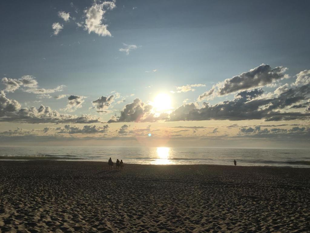 Moradia Proxima Da Praia Do Areinho, Na Ria, E Praia Dos Marretas 오바 외부 사진